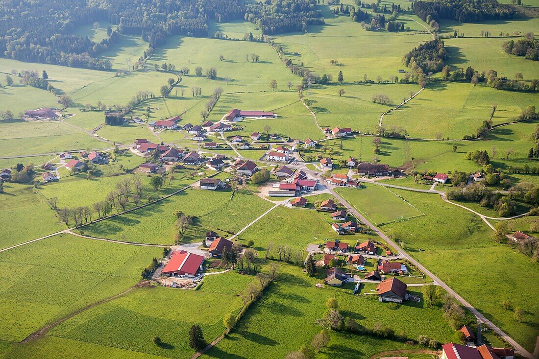 France,Doubs (25),Les Plains-et-Grands-Essarts (aerial view)