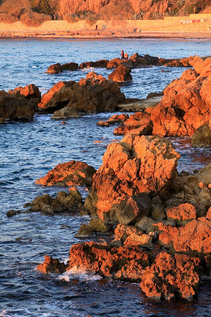 France,Var,Sanary sur Mer,Pointe and bay of Portissol