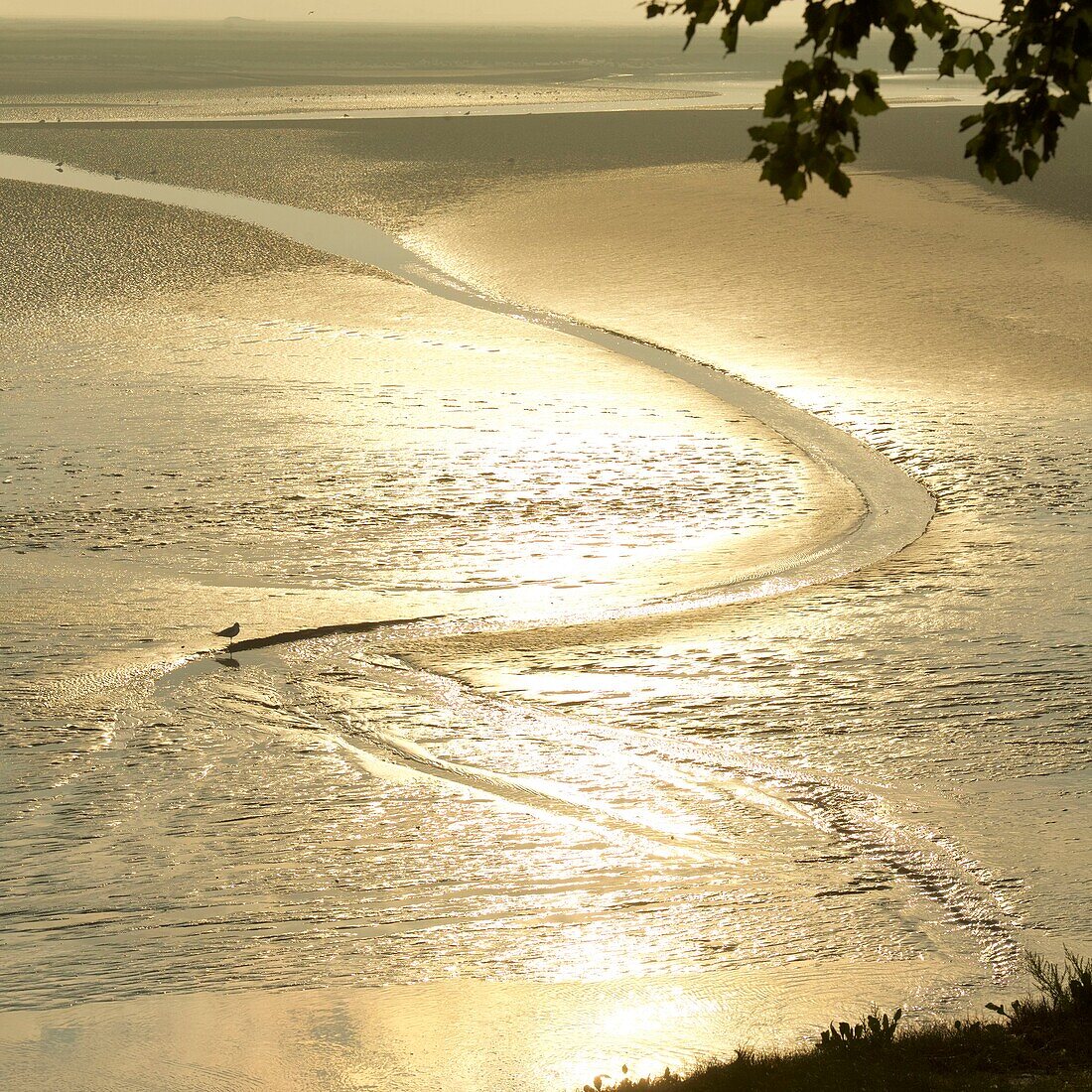 Frankreich,Somme,Baie de Somme,Saint Valery sur Somme,Mündung der Somme-Bucht bei Ebbe