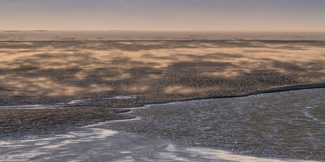 France,Somme,Baie de Somme,Natural Reserve of the Baie de Somme,Beaches of the Maye,Sandstorm in the Baie de Somme