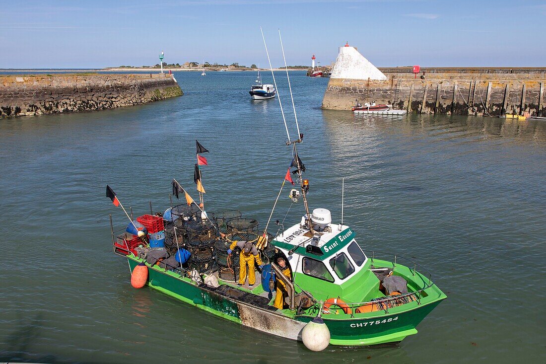 France,Manche,Cotentin,Saint Vaast la Hougue,the port