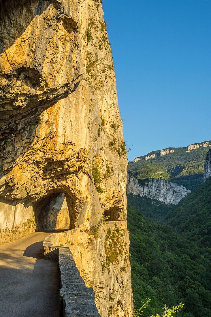 Frankreich,Isere,Massif du Vercors,Regionaler Naturpark,die atemberaubende Straße der Nan-Schluchten bei Sonnenuntergang