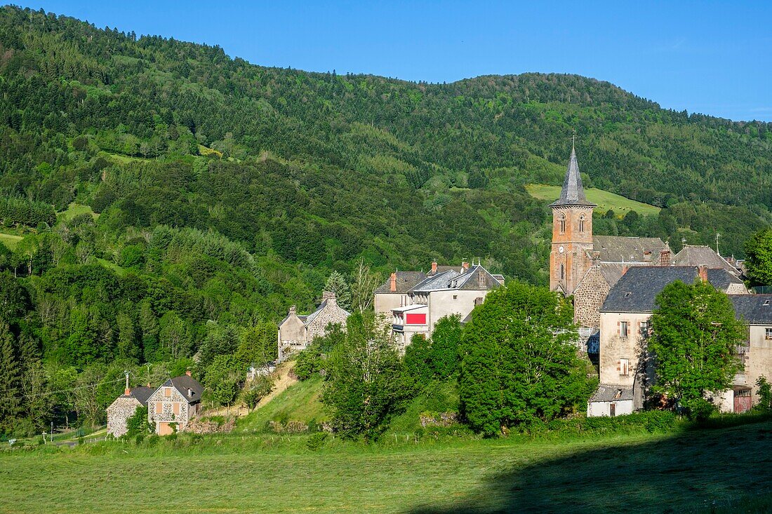 Frankreich,Cantal,Regionaler Naturpark der Vulkane der Auvergne,monts du Cantal,Cantal-Berge,Le Falgoux,Mars-Tal