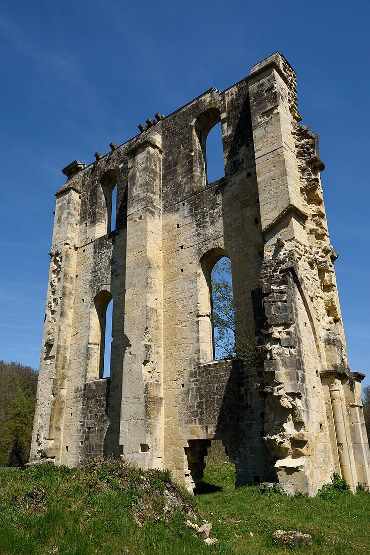 France,Haute Saone,Montigny les Cherlieu,Cherlieu abbey,remains dated 12th century church,transept wall