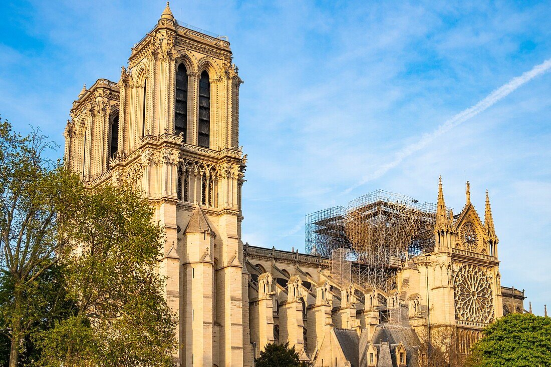 Frankreich,Paris,Welterbe der UNESCO,Ile de la Cite,Kathedrale Notre Dame nach dem Brand vom 15. April 2019