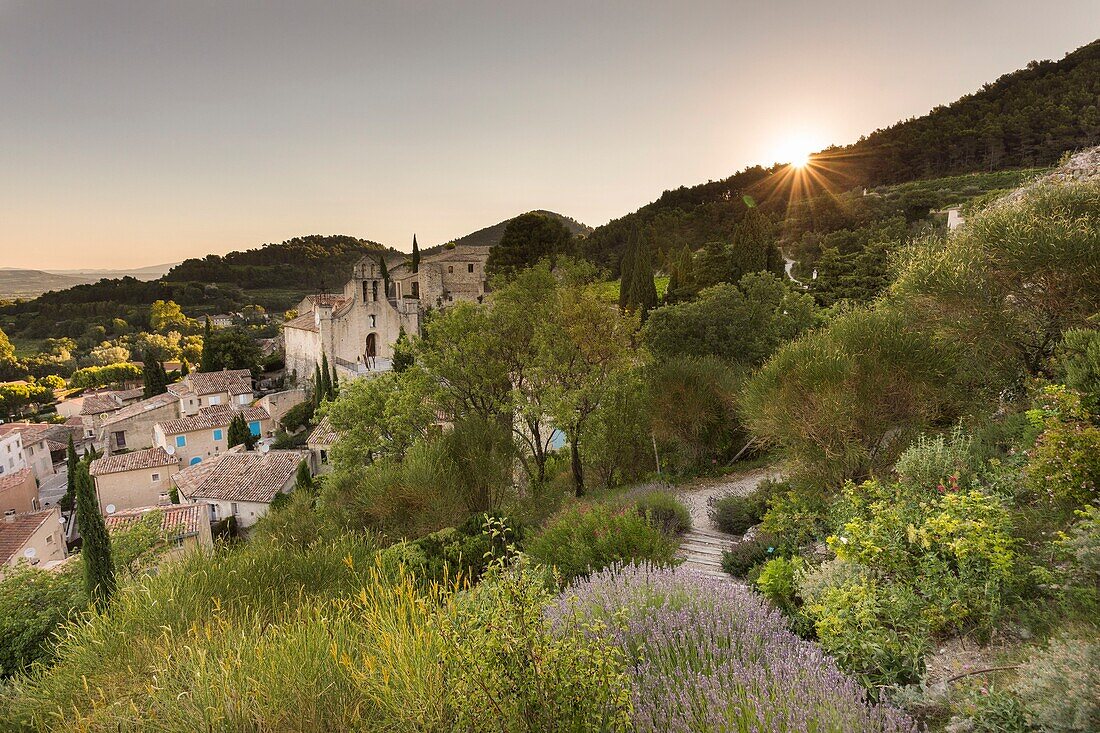 France,Vaucluse,village of Gigondas