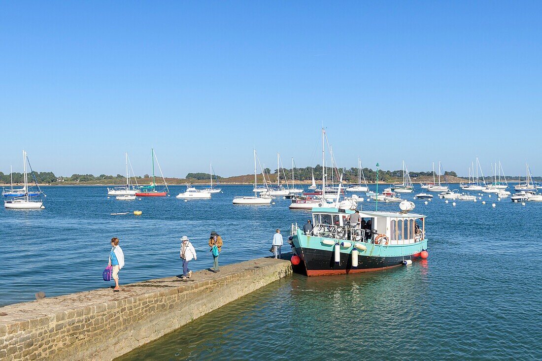 France,Morbihan,Arzon,the Kerners hold and the arrival of the boat of the passer of the islands which connects Arzon to Ile aux Moines