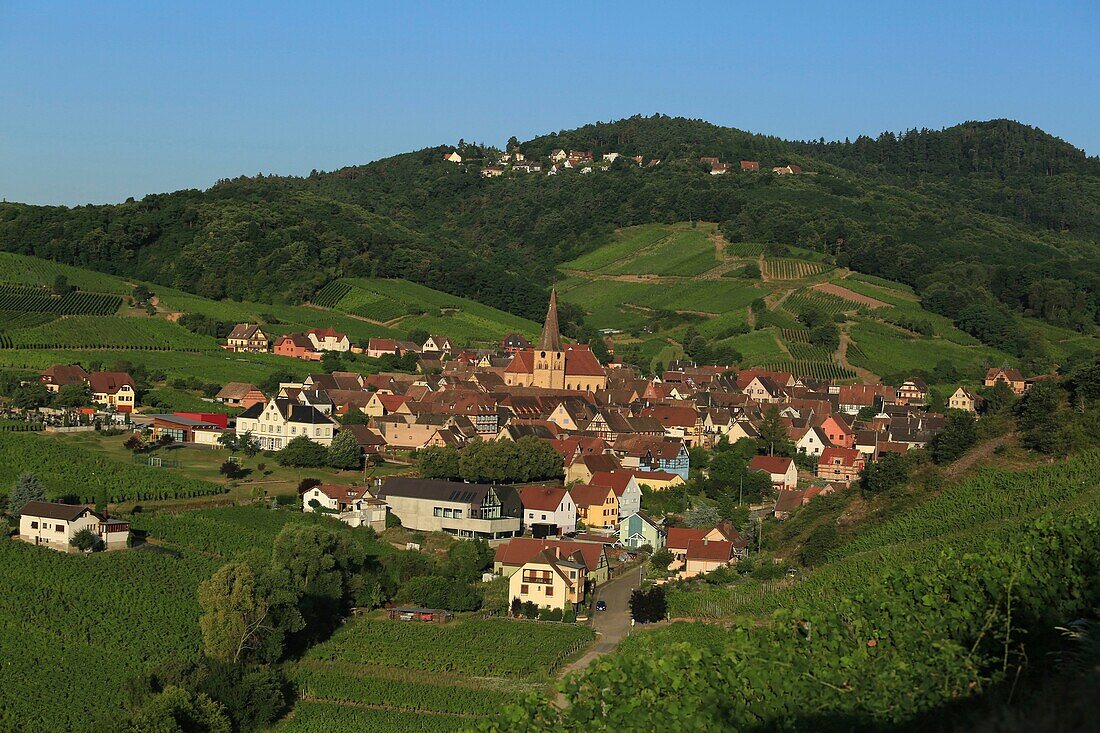 France,Haut Rhin,Route des Vins d'Alsace,Niedermorschwihr,general view of the vineyards and the village