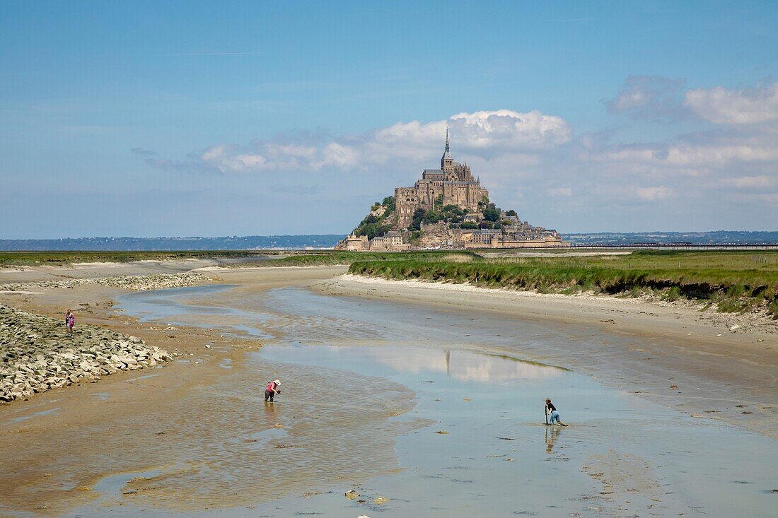 Frankreich,Manche,Bucht von Mont Saint-Michel,von der UNESCO zum Weltkulturerbe erklärt,Blick auf die Insel und die Abtei von der Mündung des Couesnon