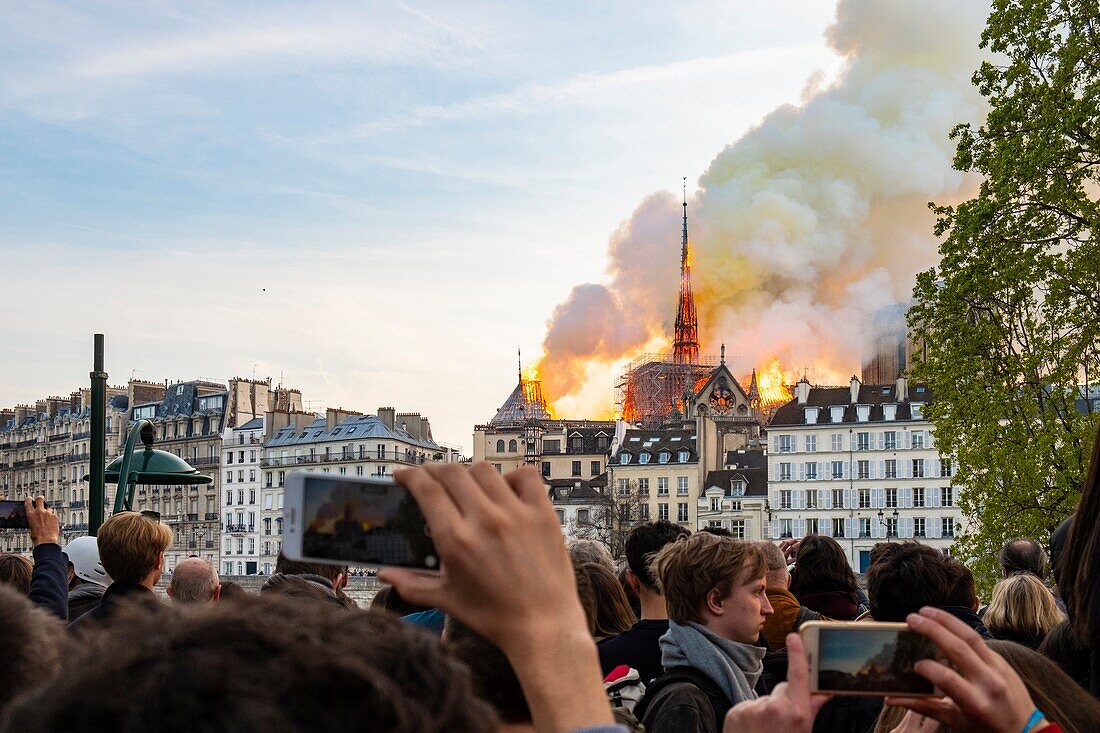 Frankreich,Paris,Weltkulturerbe der UNESCO,Ile de la Cite,Kathedrale Notre-Dame,Großbrand der Kathedrale am 15.04.2019