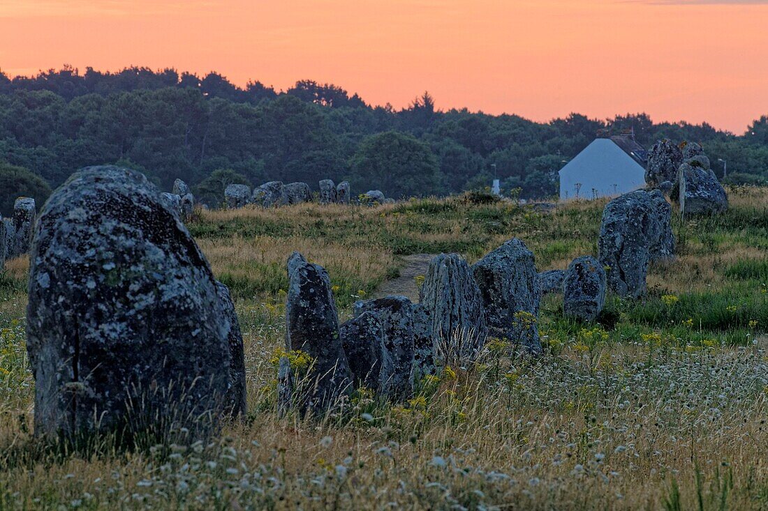 France,Morbihan,Carnac,megalithic site of Menec