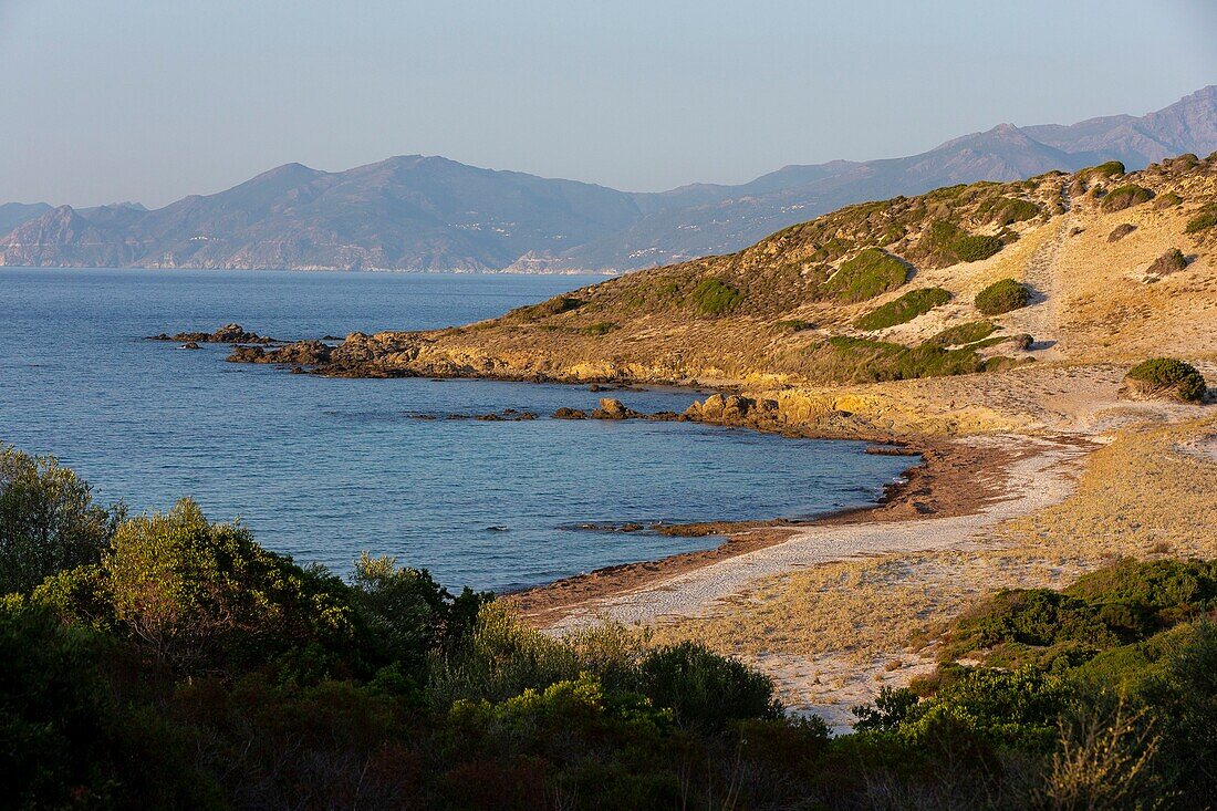 Frankreich,Haute Corse,bei Ile Rousse,Agriates Wüste,Ghignu Strand