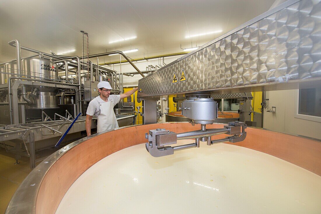 France,Jura,Poligny,the Tourmont cheese dairy,Romain Foleas produces Comté cheese,curd brewing