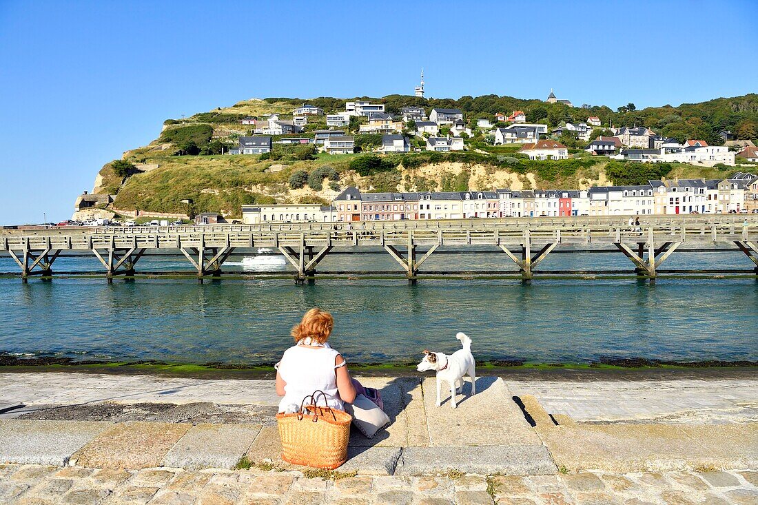 France,Seine Maritime,Pays de Caux,Cote d'Albatre (Alabaster Coast),Fecamp,wooden footbridge at the entrance of the harbour