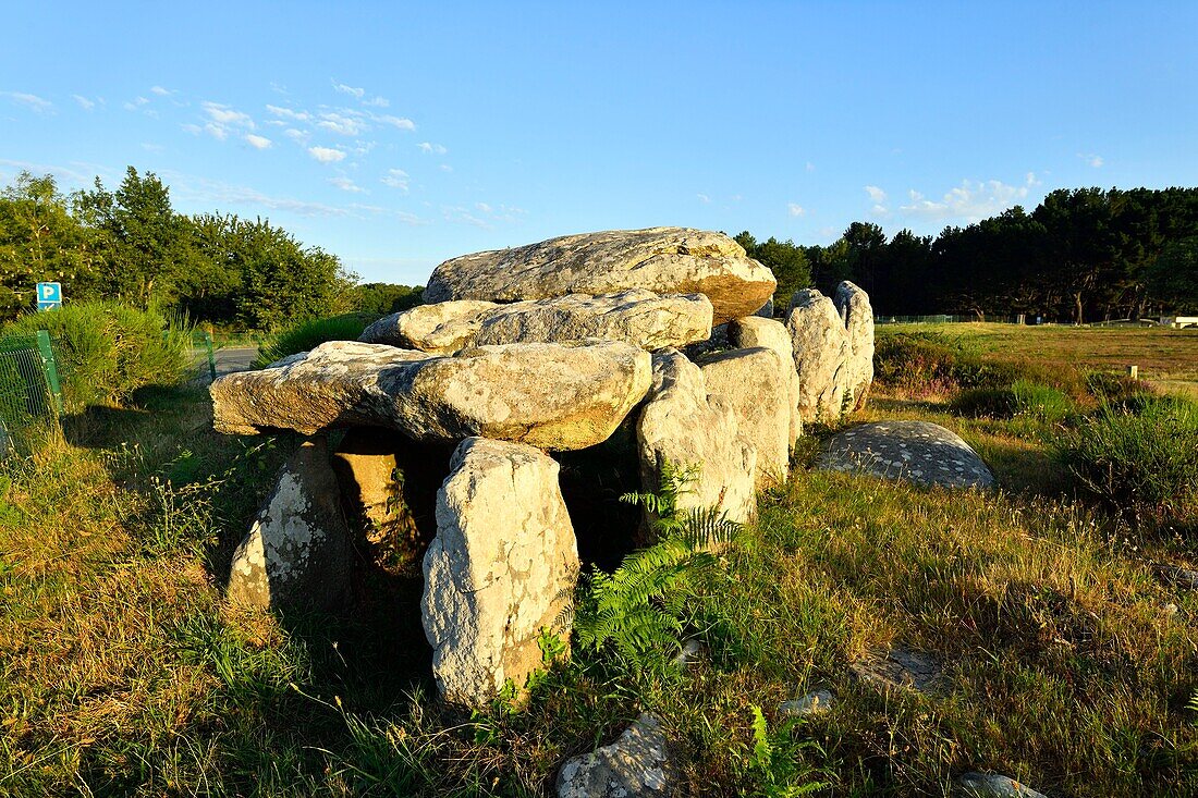 France,Morbihan,Carnac,row of megalithic standing stones at Kermario