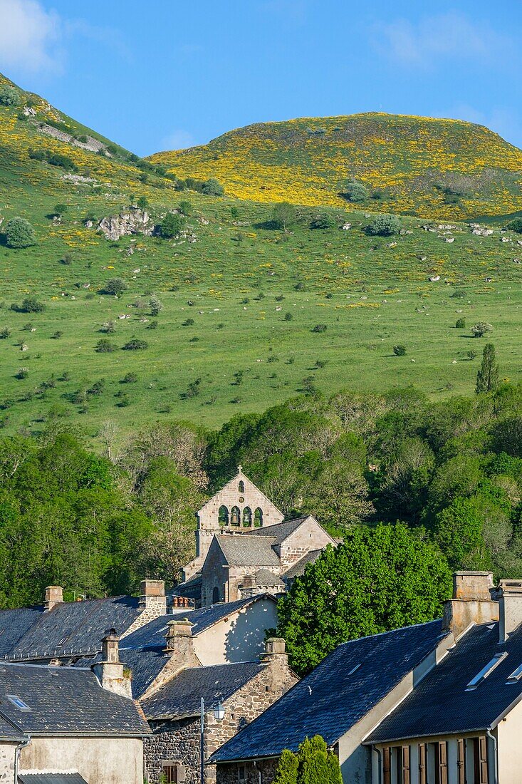 France,Cantal,Regional Natural Park of the Auvergne Volcanoes,monts du Cantal (Cantal Mounts) Santoire valley,Dienne village