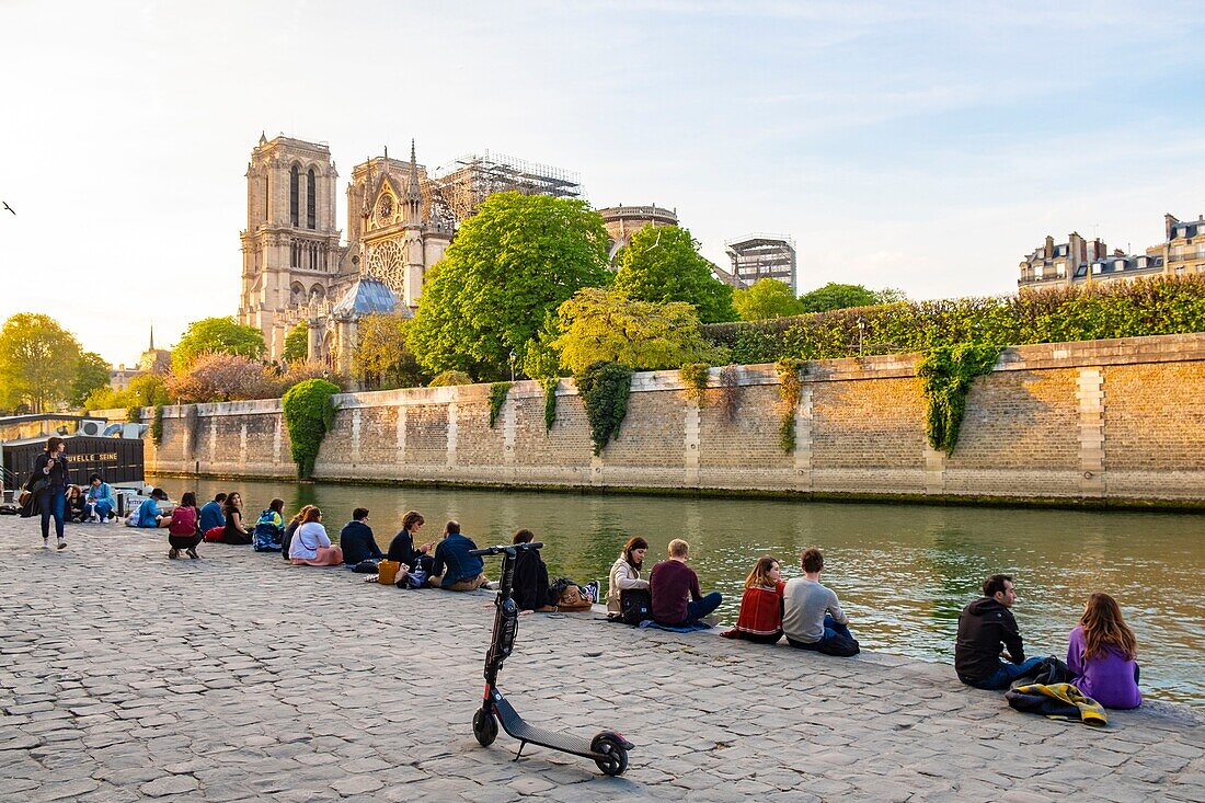 Frankreich,Paris,Gebiet, das von der UNESCO zum Weltkulturerbe erklärt wurde,Ile de la Cite,Kathedrale Notre Dame nach dem Brand vom 15. April 2019