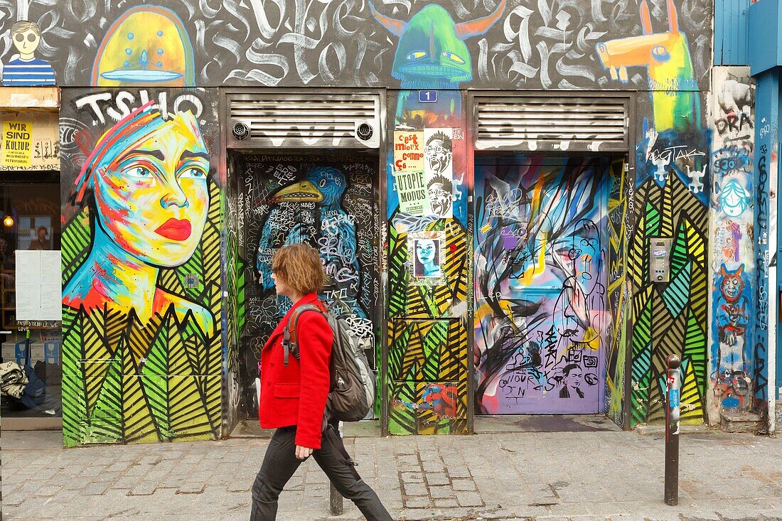 France,Paris,street art,graffitis and murals in Rue Denoyez