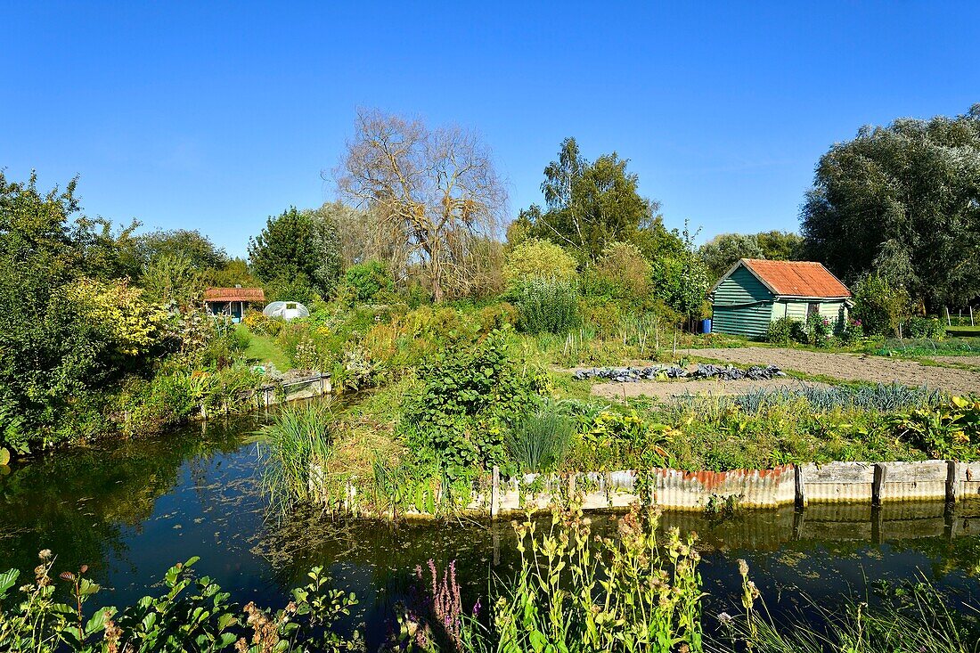 France,Somme,Amiens,the Hortillonnages are old marshes filled to create a mosaic of floating gardens surrounded by canals