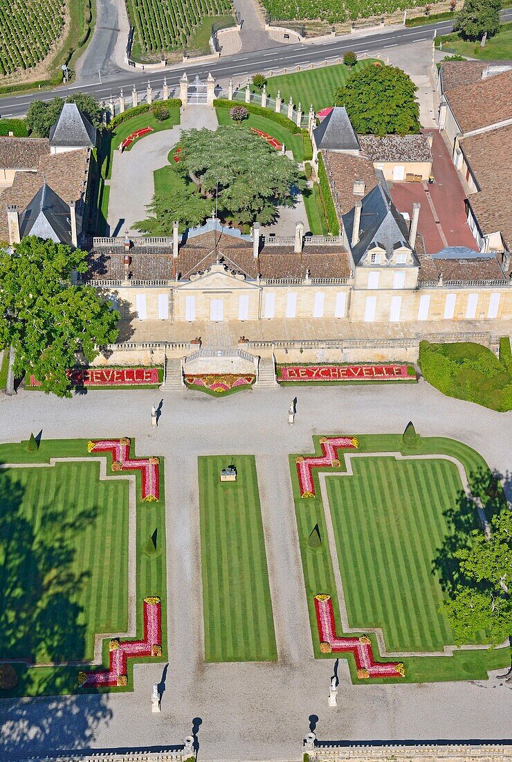 France,Gironde,Saint Julien Beychevelle,Work in vineyards (aerial view)