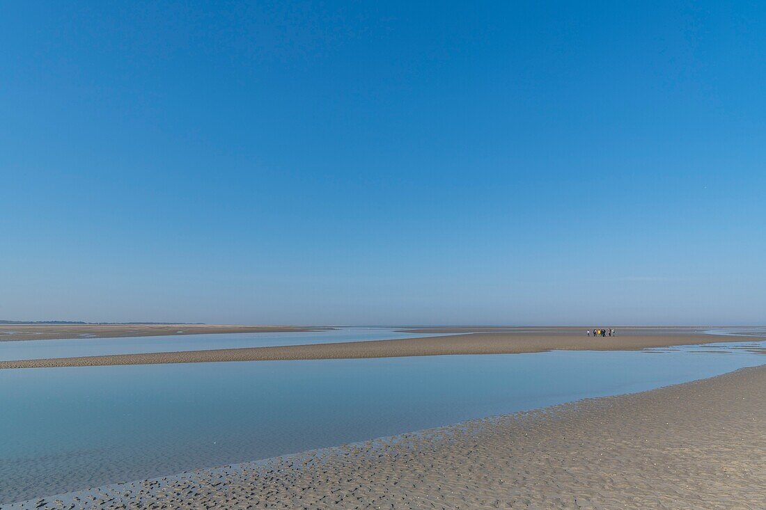 Frankreich,Somme,Baie de Somme,Naturreservat der Baie de Somme,Le Crotoy,Maye Beach,Naturführer und seine Gruppe in der Baie de Somme ein Tag der Flut