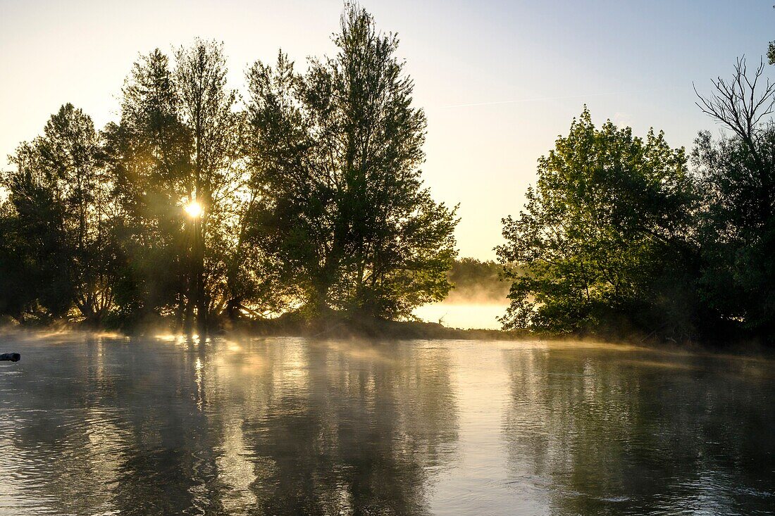 Frankreich,Indre et Loire,Loire-Tal, das von der UNESCO zum Weltkulturerbe erklärt wurde,Chouze sur Loire,der Fluss Loire