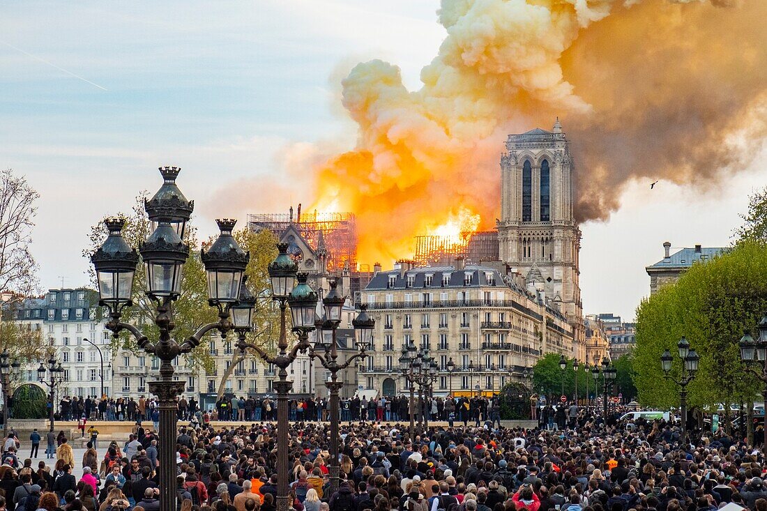 France,Paris,area listed as World Heritage by UNESCO,Ile de la Cite,Notre-Dame Cathedral,the big fire that ravaged the cathedral on April 15,2019
