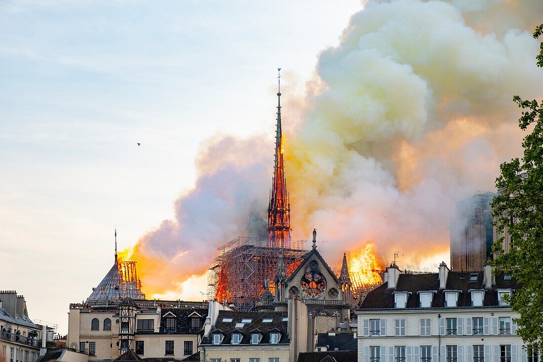 Frankreich,Paris,Welterbe der UNESCO,Ile de la Cite,Kathedrale Notre-Dame,das große Feuer, das die Kathedrale am 15. April 2019 verwüstete
