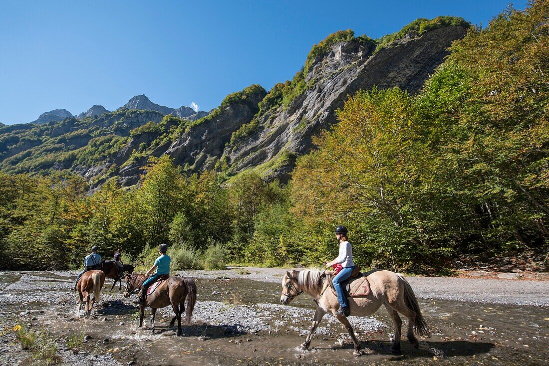 France,Haute Savoie,Sixt Fer a Cheval,equestrian trek in the circus of the Horseshoe to the End of the World,crossing the torrent of Giffre
