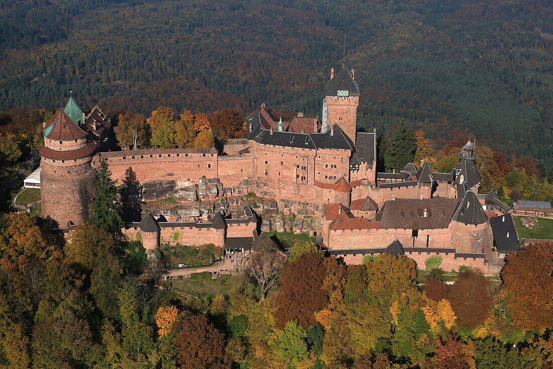 France,Bas Rhin,the Upper Koenigsbourg castle on the foothills of the Vosges and overlooking the plain of Alsace,Medieval castle of the 12th century,It is classified as a historical monument (aerial view)