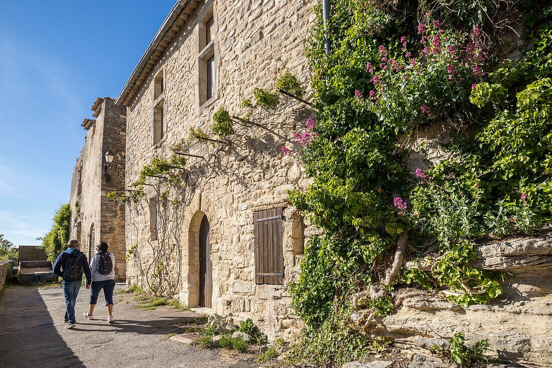 Frankreich,Vaucluse,Regionales Naturschutzgebiet Luberon,Saignon