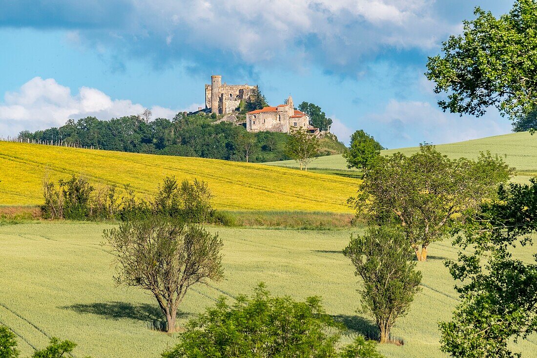 France,Puy de Dome,Montmorin castle,landscape of Parc naturel régional Livradois-Forez,Livradois Forez Regional Natural Park,near Billom