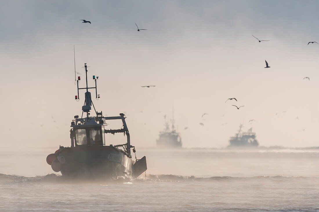 Frankreich,Somme,Baie de Somme,Le Hourdel,Trawler in der Baie de Somme nahe dem Hafen von Le Hourdel