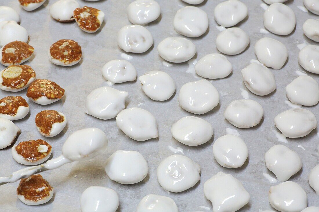 Frankreich,Tarn,Castres,Signovert Bäckerei seit 1928 geöffnet,Herstellung von Nougatines castraises (Nougatine mit einer königlichen Eiscreme beschichtet) von der Konditor Julien Signovert