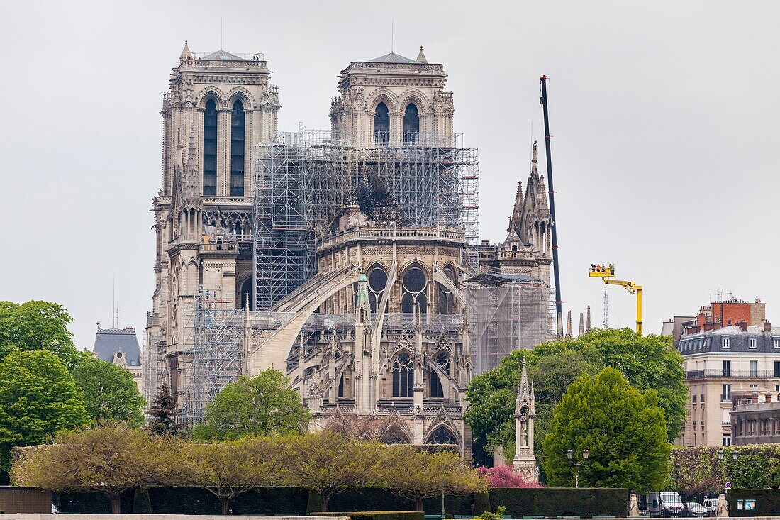 France,Paris,Notre Dame de Paris Cathedral,day after the fire,April 16,2019