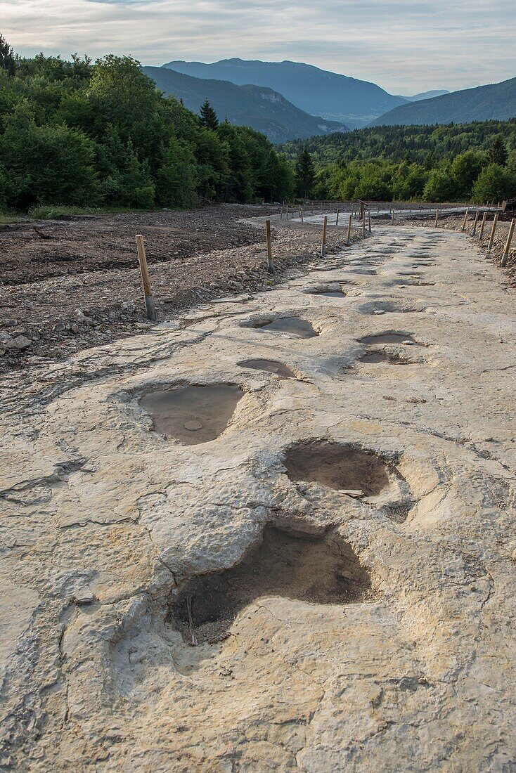 France,Ain,the imprints of dinosaur fossilized on the site of Plagne near Bellegarde and saint Germain de Joux