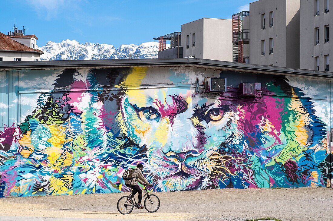 France,Isere,Grenoble,Bouchayer-Viallet district,Esplanade Andry Farcy,the Lion of the Grenoble artists,Srek,Greg and Will,fresco created during the Grenoble Street-Art Fest 2015
