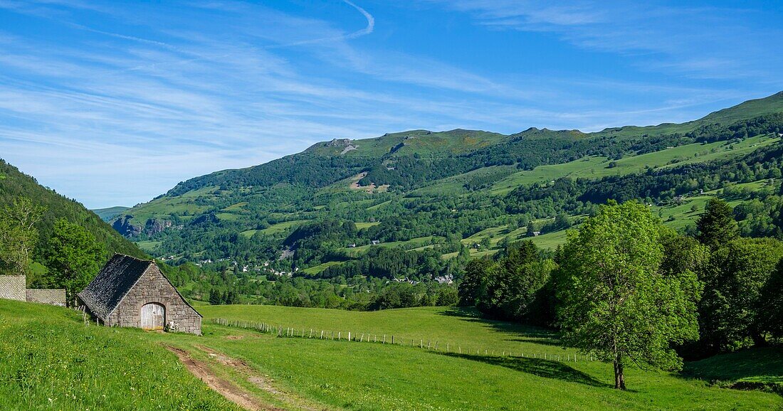 France,Cantal,Regional Natural Park of the Auvergne Volcanoes,monts du Cantal,Cantal mounts,Mars valley
