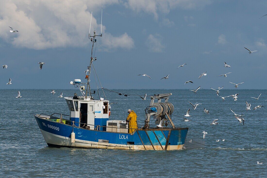 Frankreich,Somme,Baie de Somme,Le Hourdel,Trawler in der Baie de Somme nahe dem Hafen von Le Hourdel