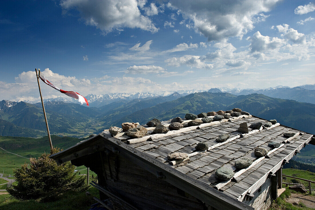 Alpenblumengarten. Kitzbüheler Horn. Kitzbühel, Tirol, Österreich.