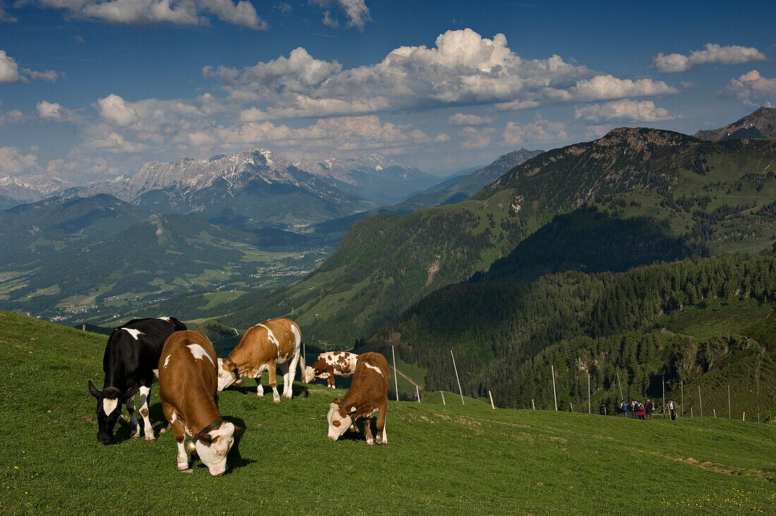 Panoramablick auf die Berge von der Kitzb