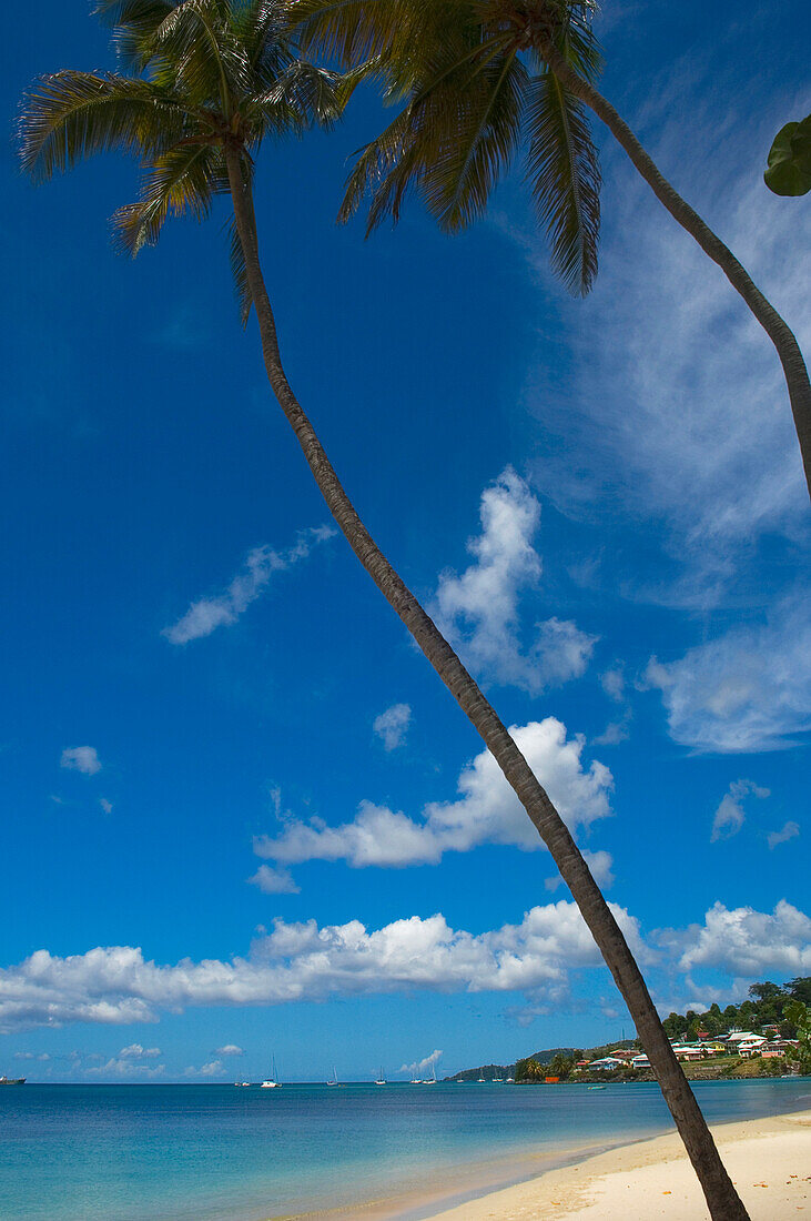 Caribbean,Grand Anse Beach,Grenada