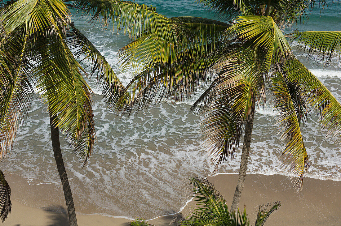 Grenada,Caribbean,Laurant Point,Saueurs,Elevated view of beach at Petite Anse Hotel