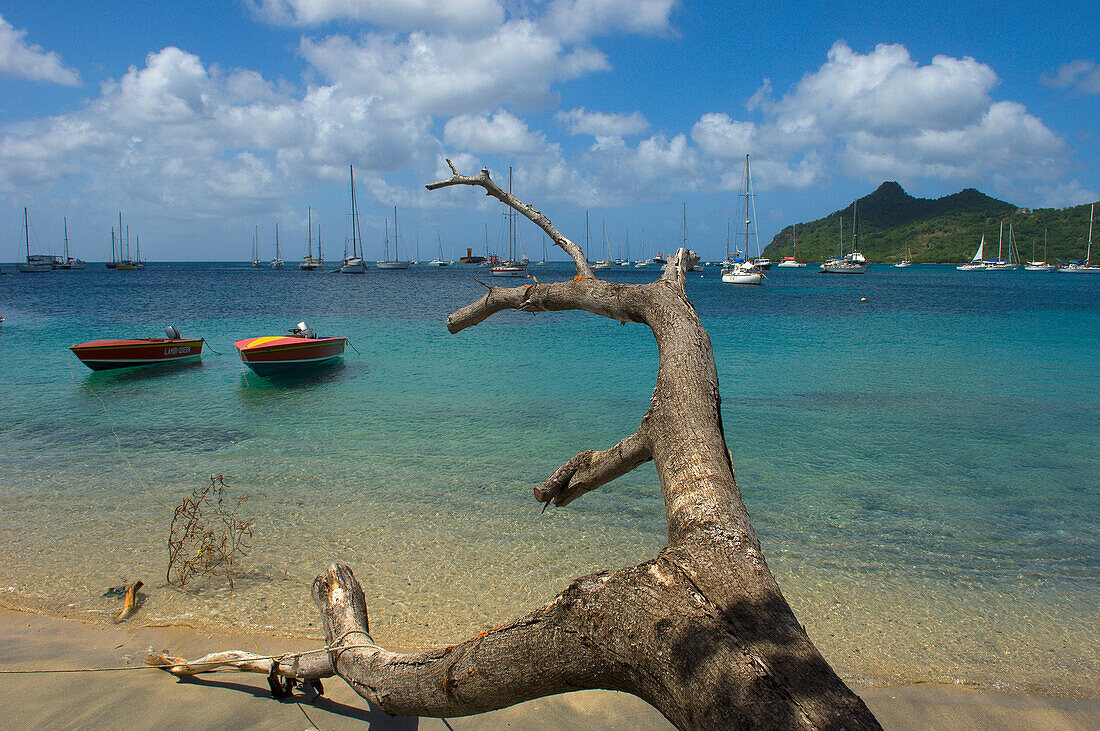 Karibik,Grenada,Grenadinen,Blick auf die Tyrrel-Bucht,Carriacou-Insel