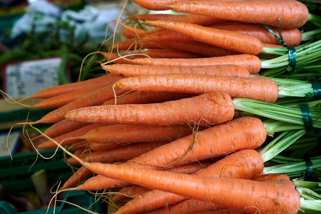 France,Haute Garonne,Bagneres de Luchon,Market Place Gabriel Rouy. carrot