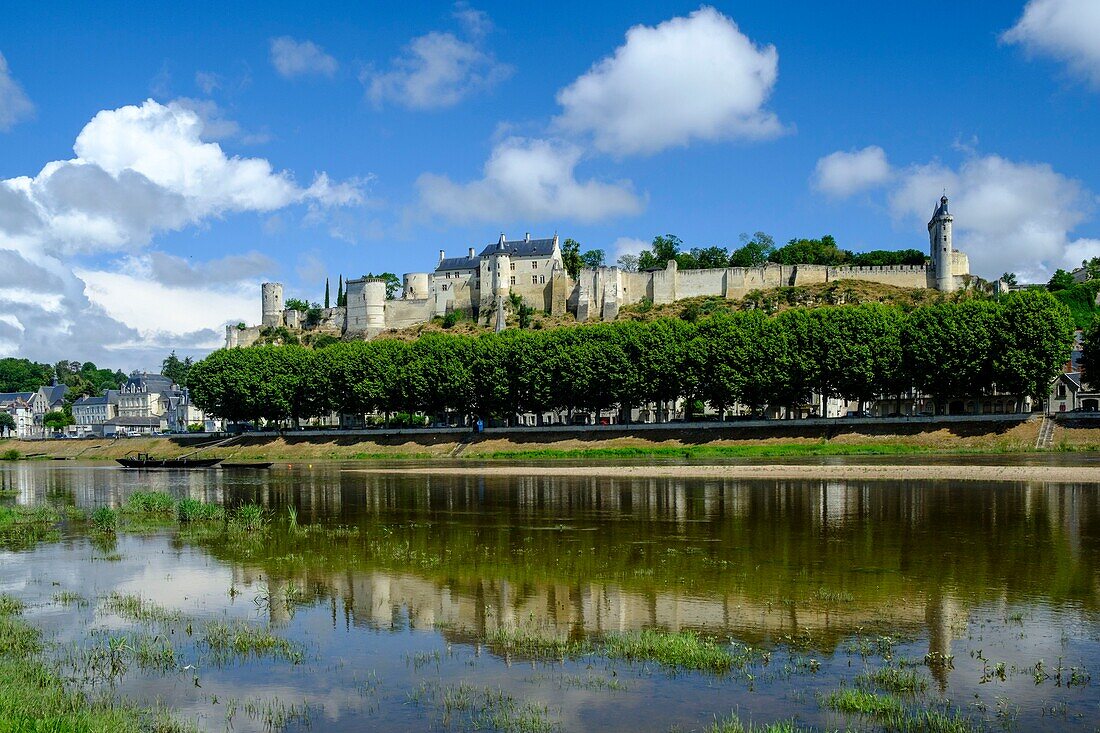 Frankreich,Indre et Loire,Loiretal als Weltkulturerbe der UNESCO,Schloss von Chinon an der Vienne