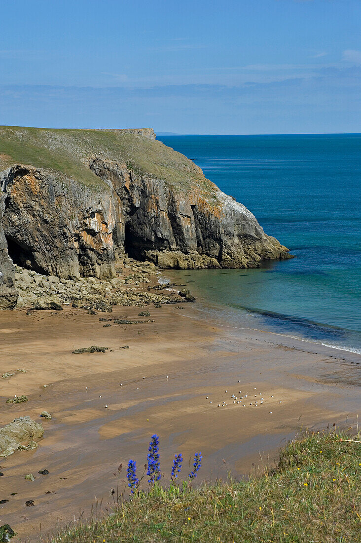 Pembrokeshire Coast National Park. Stackpole Estate. Pembrokeshire. Wales