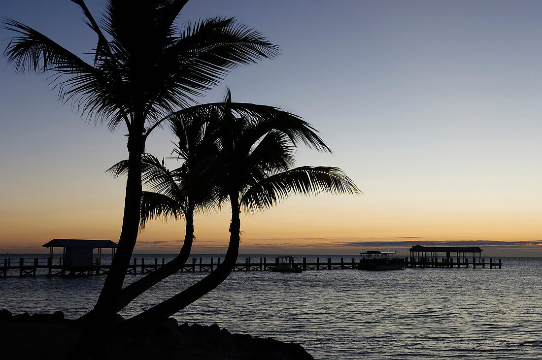 USA,Florida,Florida Keys,Sonnenaufgang über Pier und Bootsanleger,Islamorada