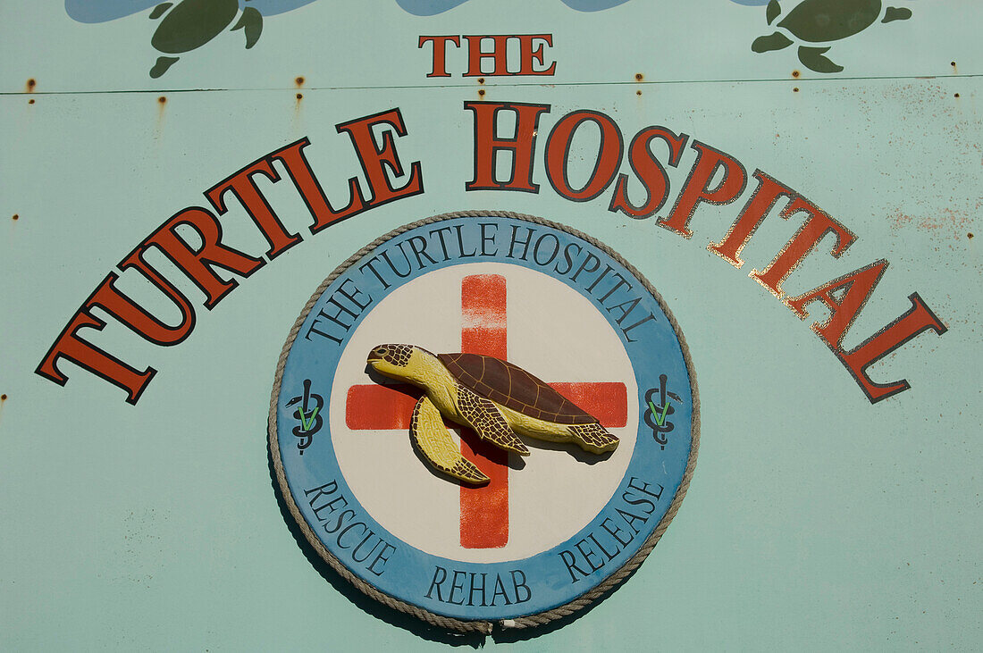 USA,Florida,Florida Keys,Turtle Hospital,Marathon