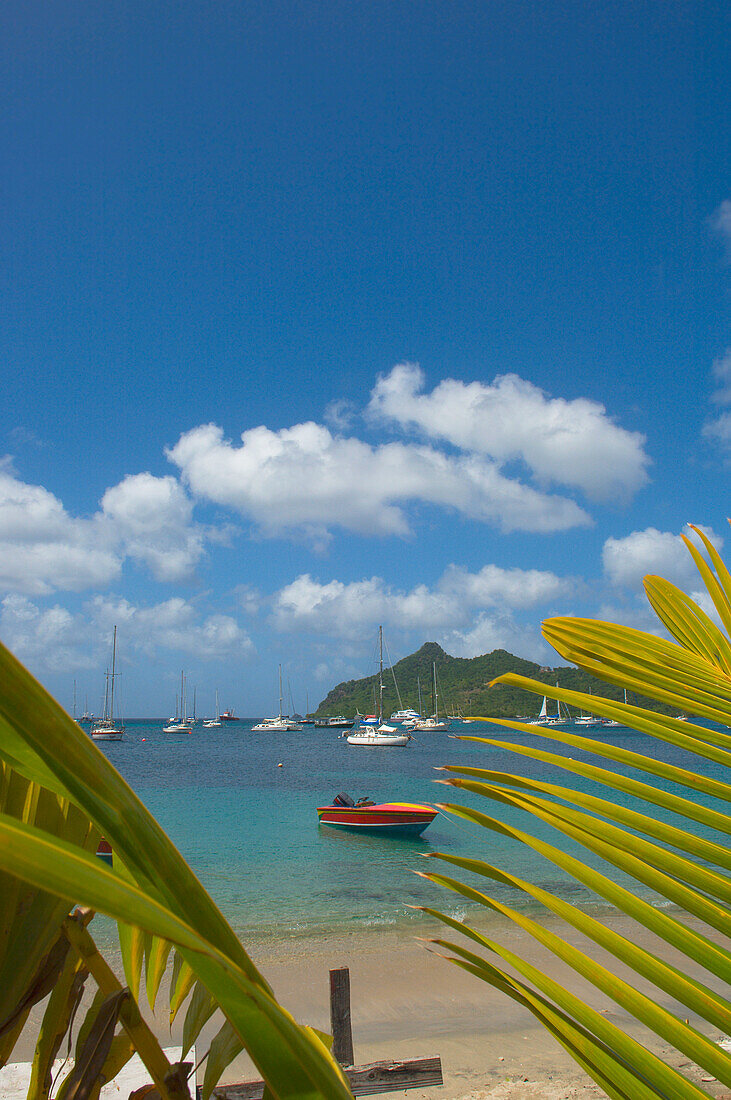 Caribbean,Grenada,Grenadines,View of Tyrrel Bay,Carriacou Island